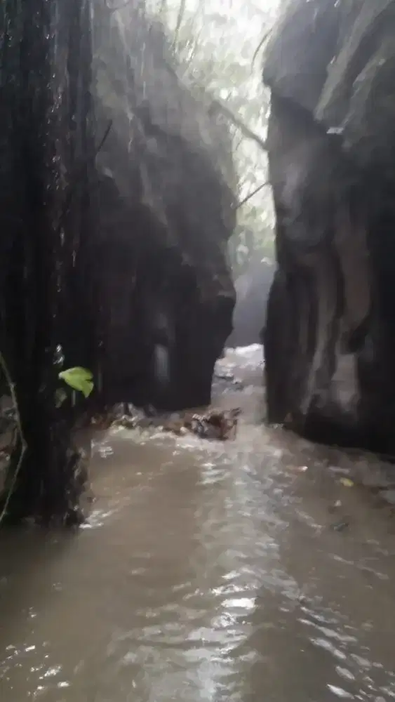 Dijual Murah Tanah 2,4 Ha Tepi Sungai Dekat Central Ubud Bali