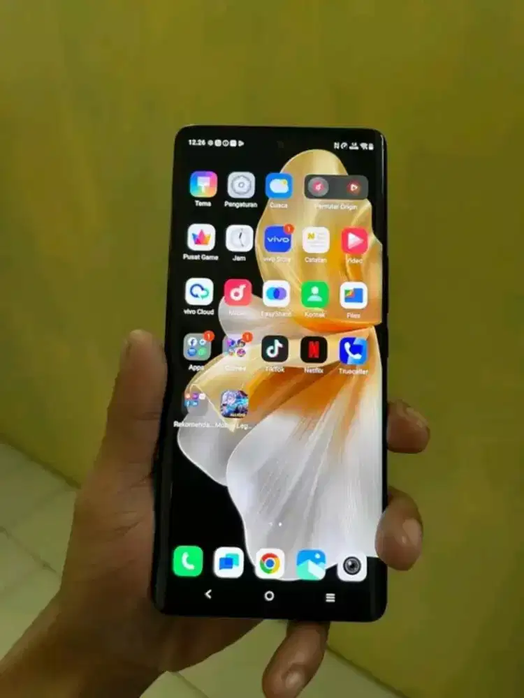 Vivo V30 5G Internal 12+12/512 Gb