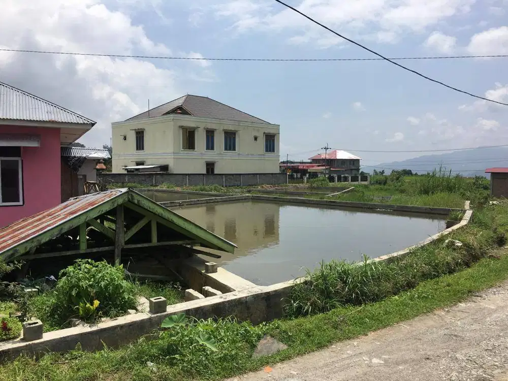 Kolam Pemancingan  dan Budidaya Ikan