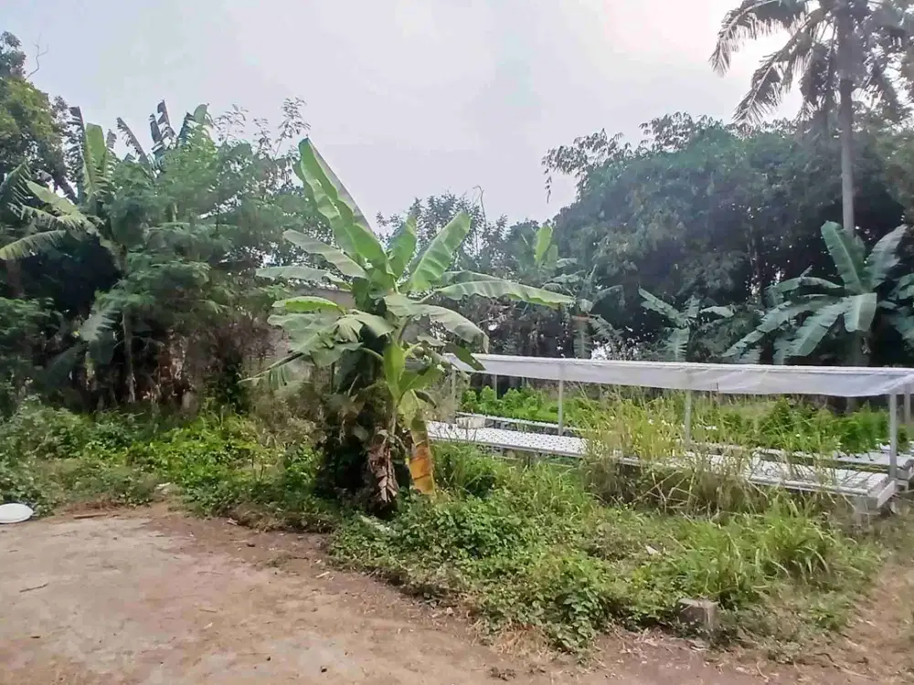 jual Tanah kosong