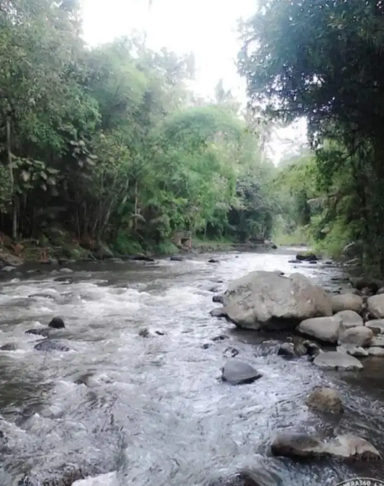 TANAH TEPI SUNGAI AYUNG UBUD DIJUAL - 3,5 HA PINK ZONE - 14 SHM