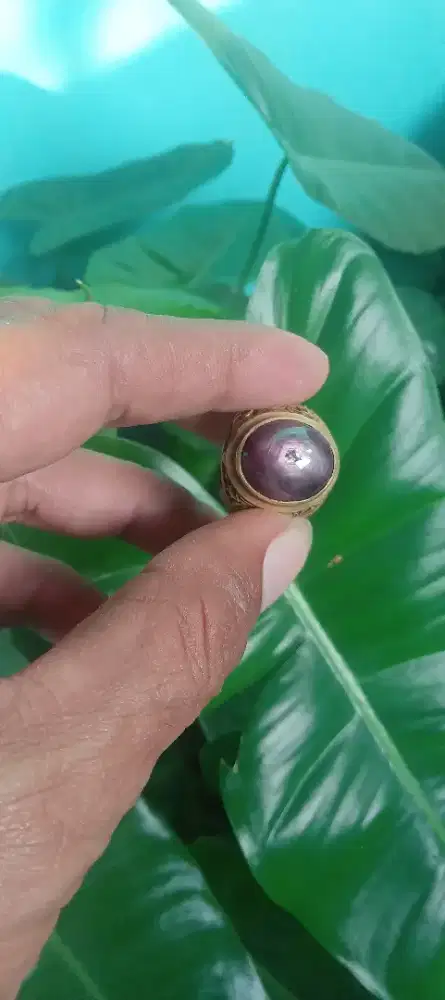 Batu ruby daging ster
