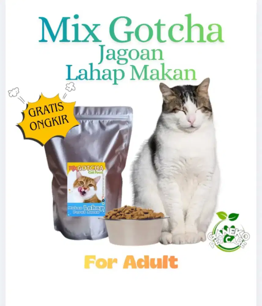 Mix Gotcha 1kg Makanan Penggemuk Kucing Adult Susah Makan Picky Eater