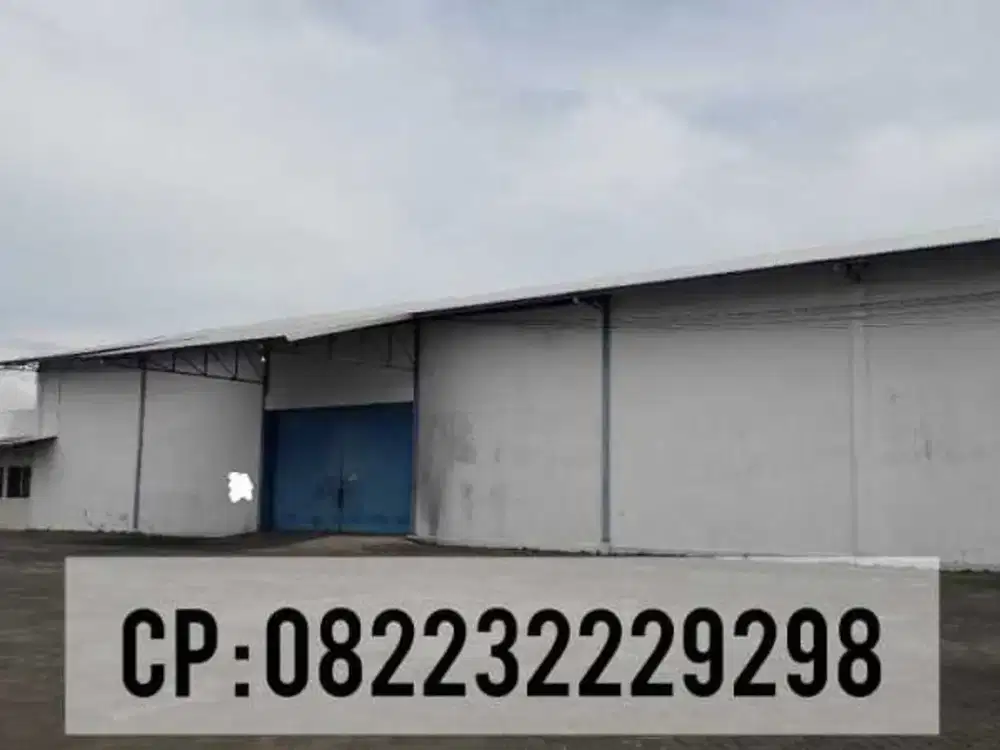 DISEWAKAN GUDANG MODERN SIAP PAKAI JEMBER