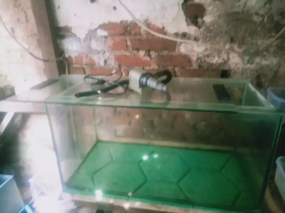 aquarium 60 x30