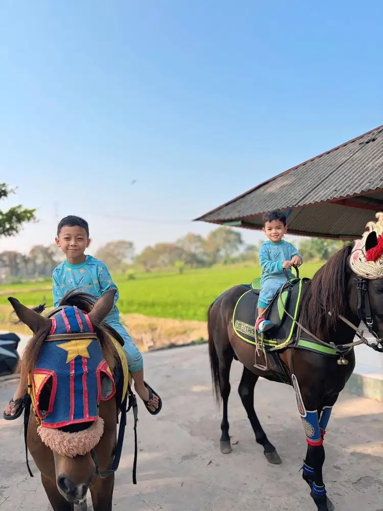 asisten rumah tangga