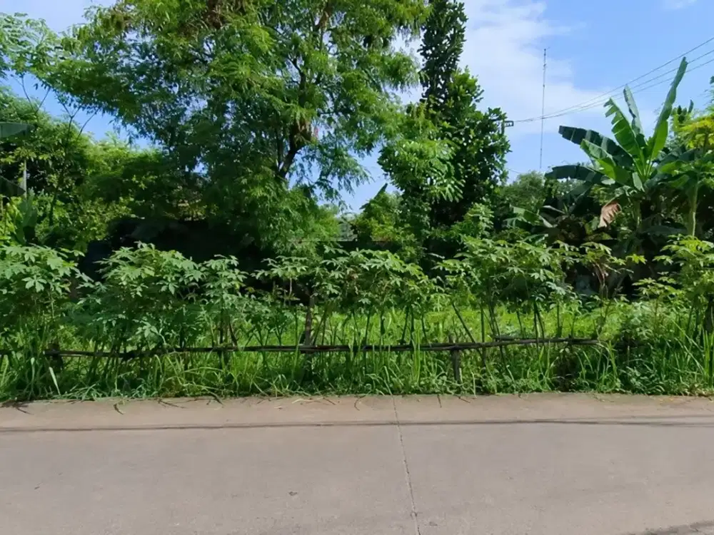 Tanah Komersial Caringin Legok Tangerang Cocok Gudang Workshop dan Kebun