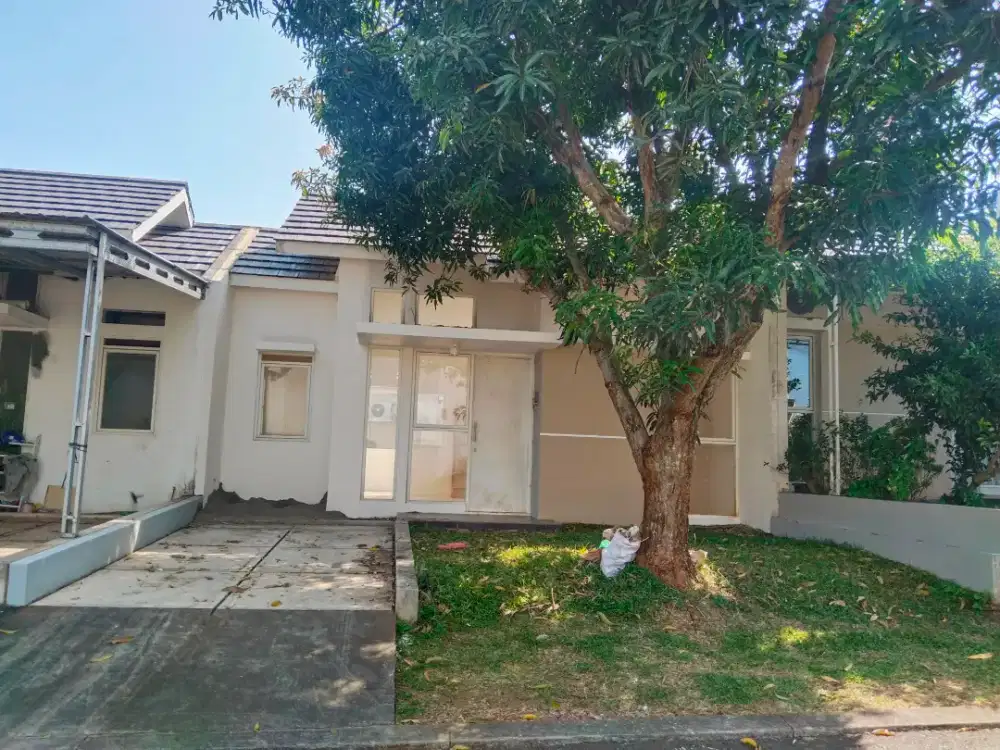 Murah! di Forest Hill Bsb city