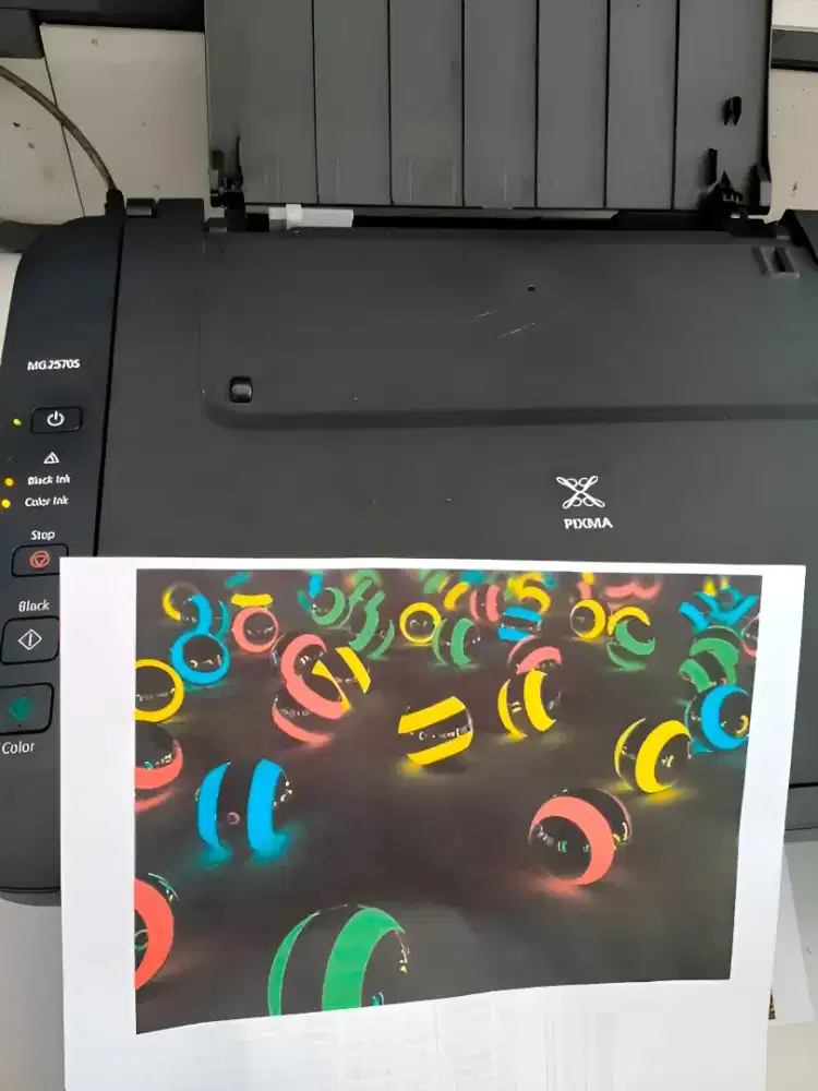 Printer Scan Canon MG2570S