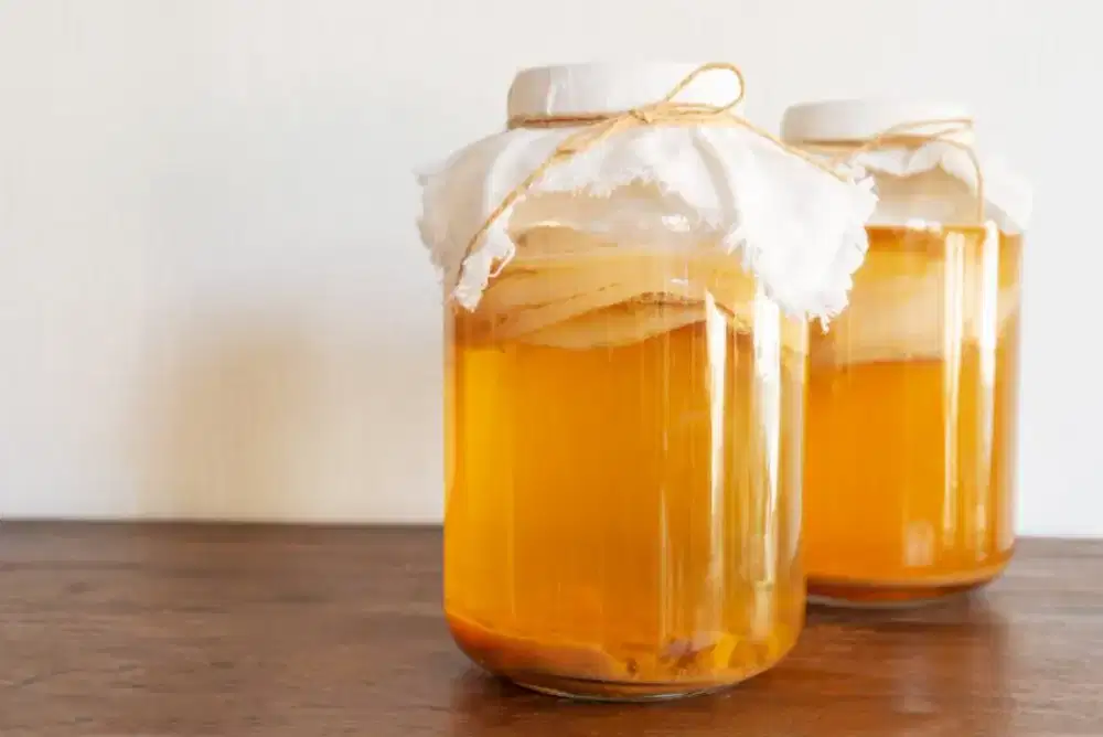 Minuman fermentasi kombucha