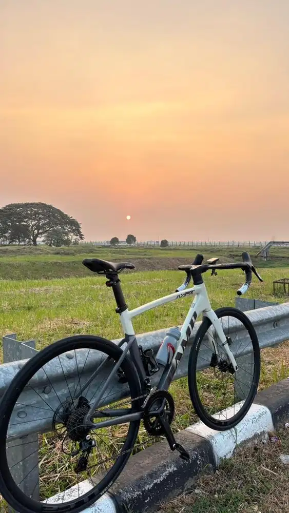 Roadbike camp sr3 d