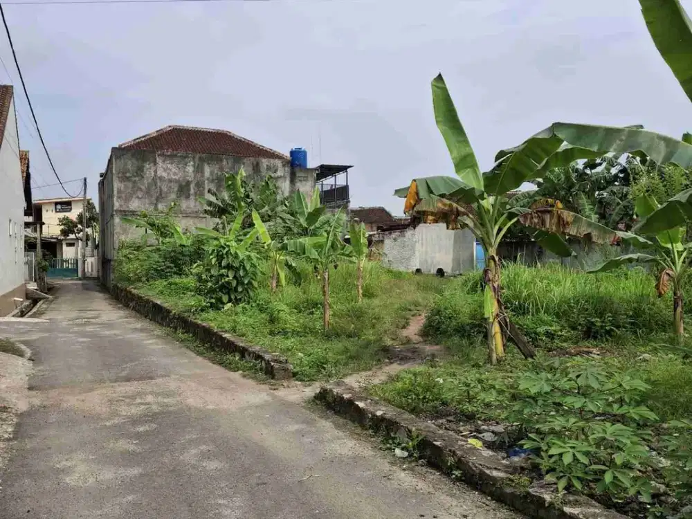 tanah dekat samsat rajabasa 1013m