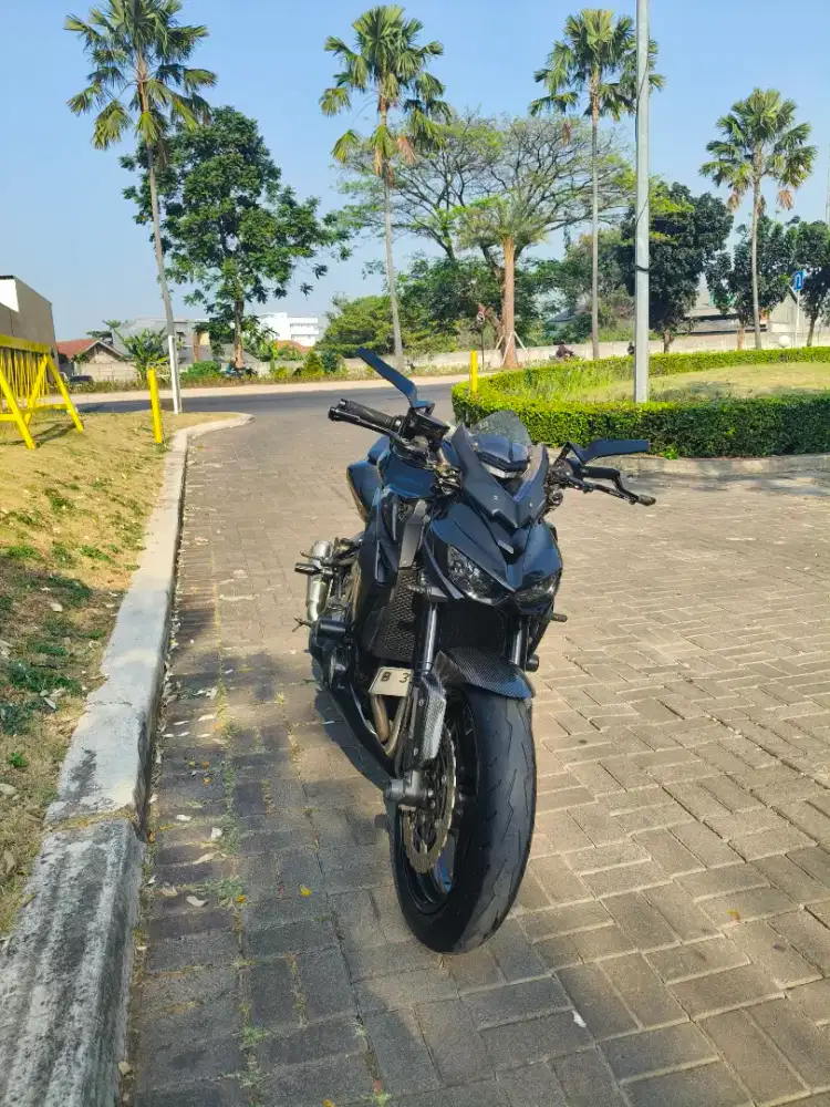Kawasaki Z1000 SUGOMI 2015