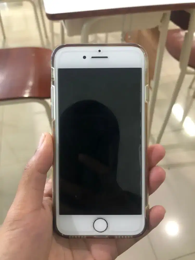 iPhone 8 internal 256