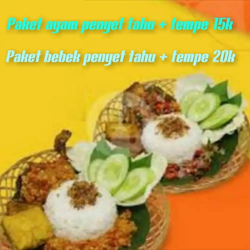 ayam dan bebek penyet freeongkir k tlgsari sekitarnya