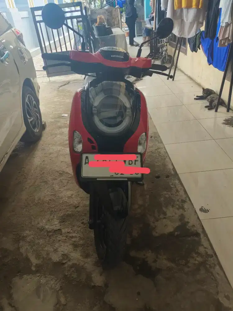 Honda scoopy 2024