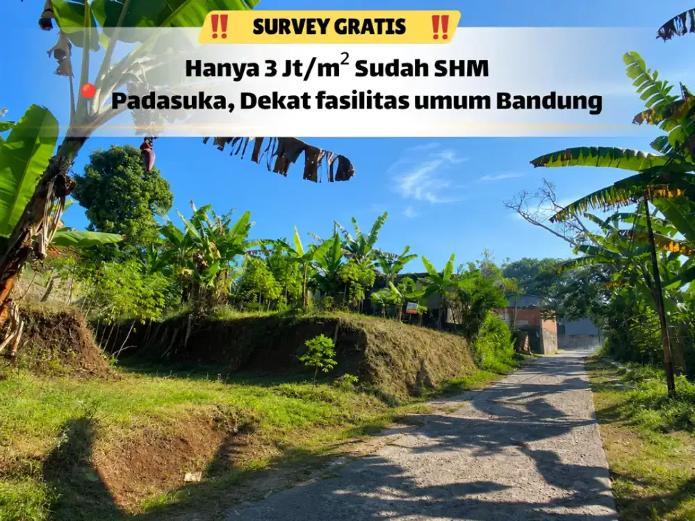 Tanah Padasuka Dekat Saung Angklung Udjo – Survey Sekarang!
