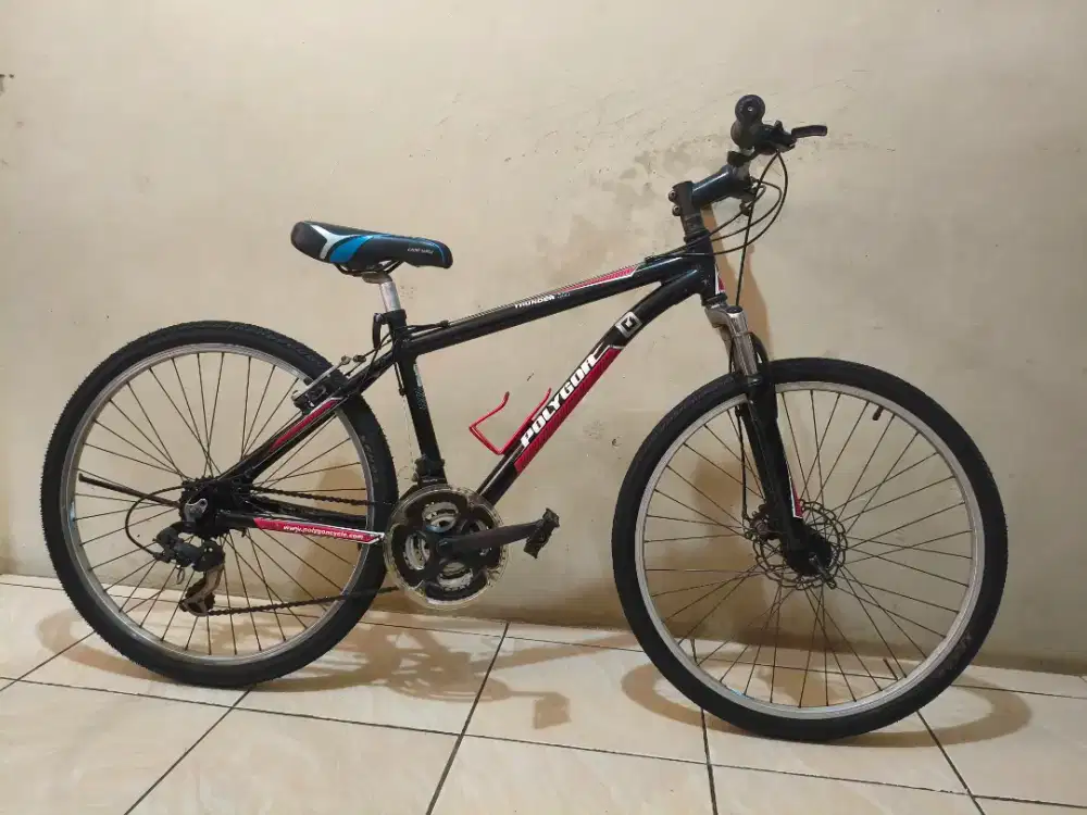 Polygon Thunder 300 Alloy