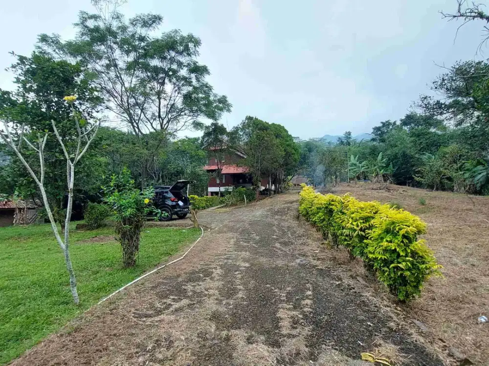 villa kebun luas murah bawah njop pinggir jln raya sukamakmur puncak 2