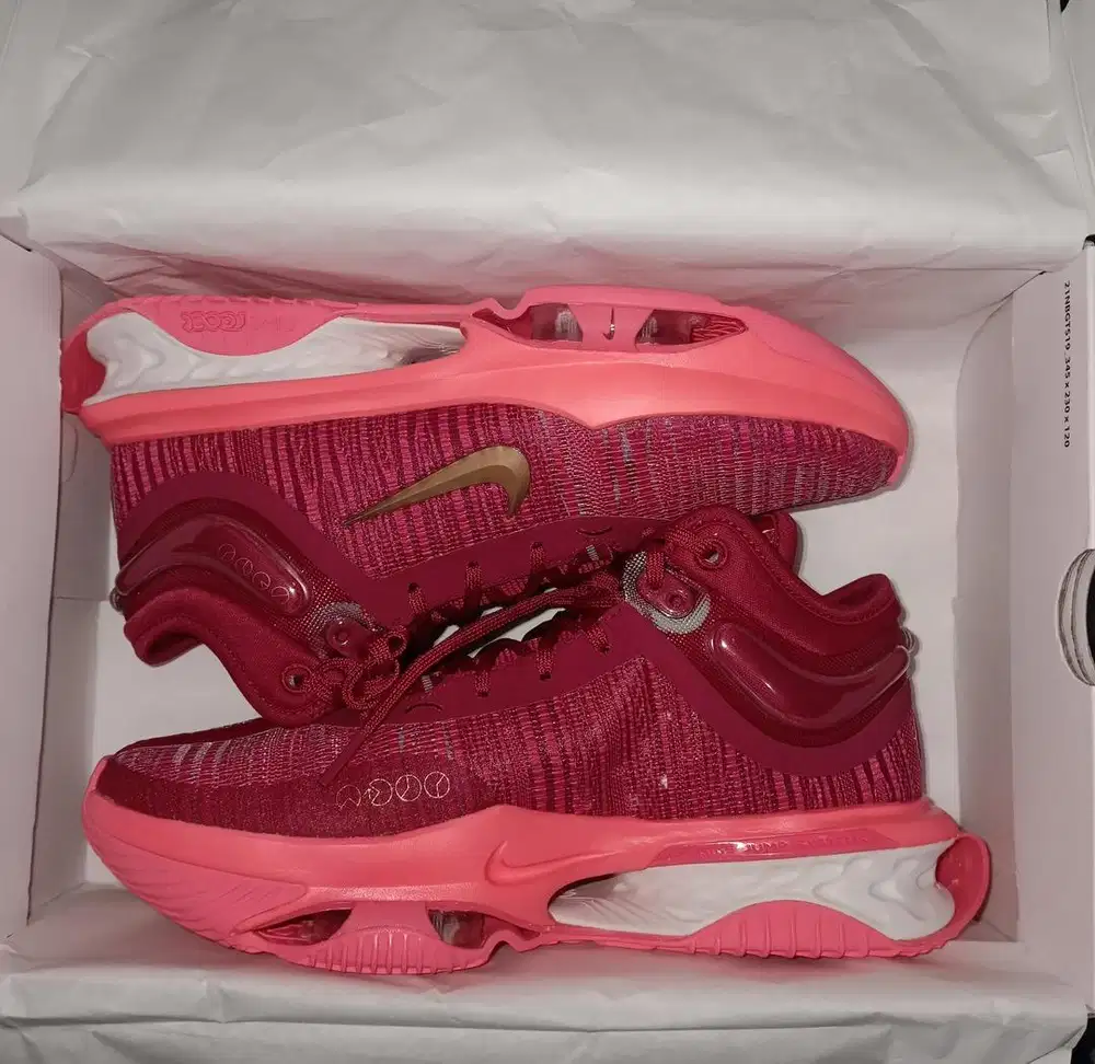 Nike Air Zoom GT Jump 2