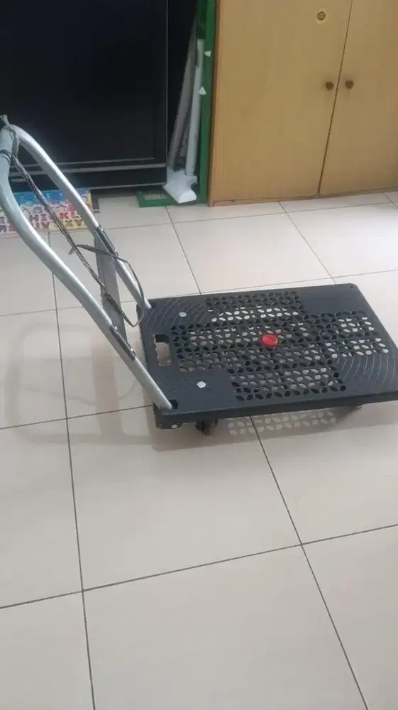 Troly barang muat 100 kg