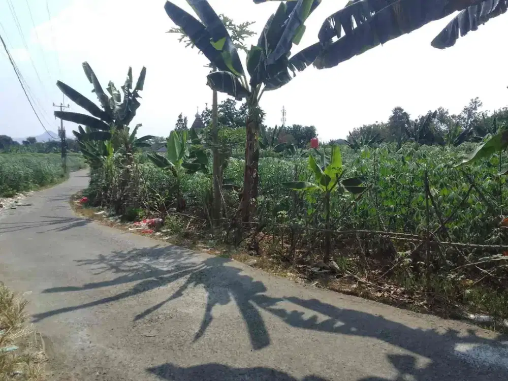 TANAH MURAH DAN STRATEGIS DEKAT JALAN RAYA UTAMA DI KECAMATAN CISEENG BOGOR