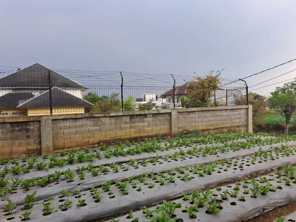 TERMURAH DIJUAL TANAH SETIABUDHI REGENCY (SETREG) LOKASI STRATEGIS DAN AMAN