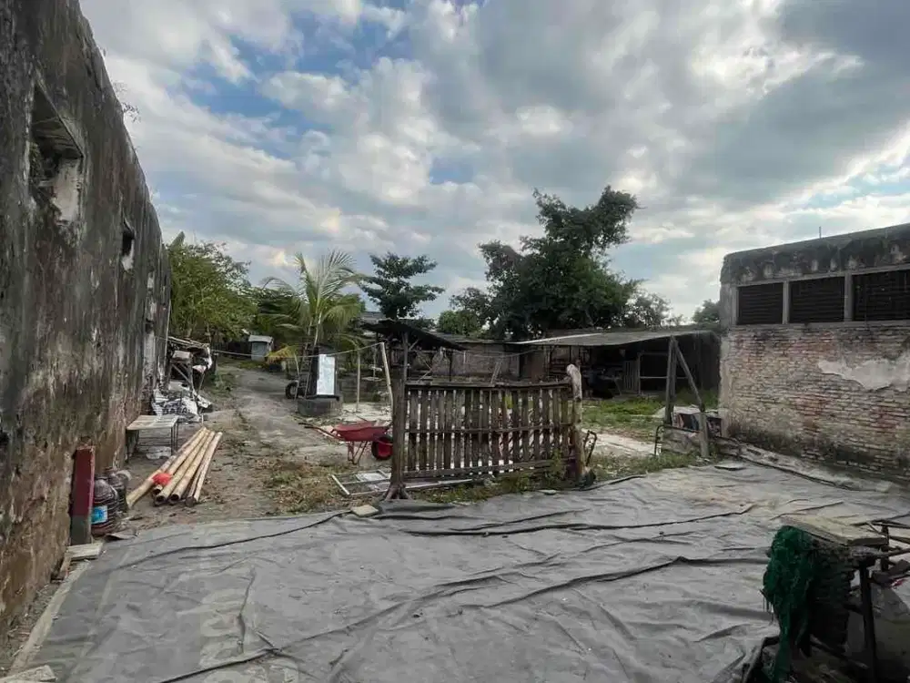 Jual Cepat Tanah dan Bangunan di Jl Majapahit Semarang