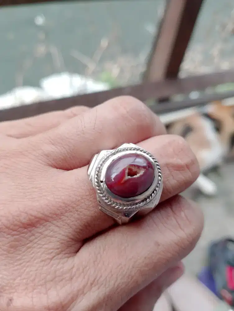 Batu kantong Semar merah combong ring 8