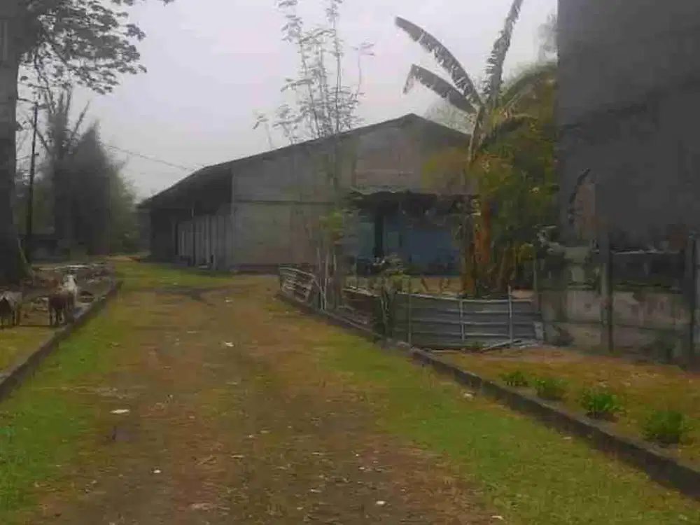 Dijual Tanah dan Gudang Raya Cilengsi . Bogor