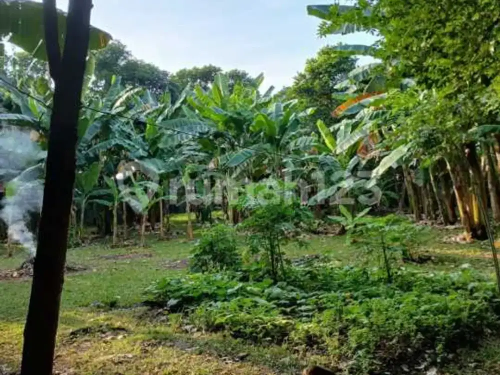 Kavling Luas Lokasi Strategis di Area Lebak Bulus