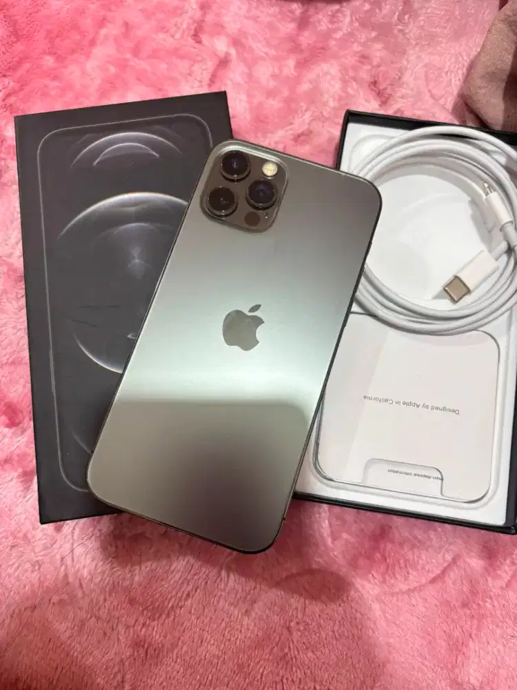 Iphone 12 pro 256gb beacukai