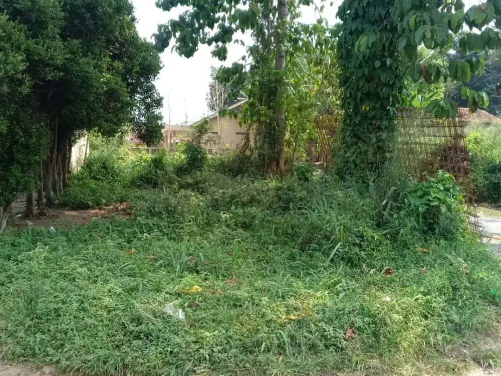 Tanah Hegarmanah Sumedang 133 m², Amankan Sekarang!