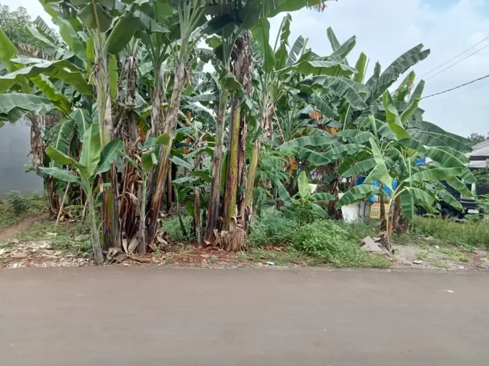 Dijual Lahan/Tanah Subur daerah kranggan Cibubur: