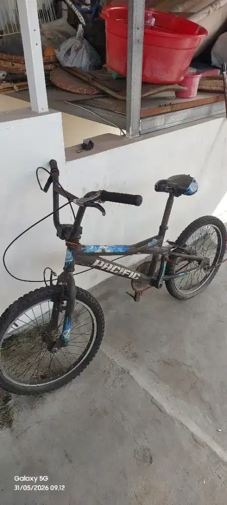 Sepeda anak pacifik
