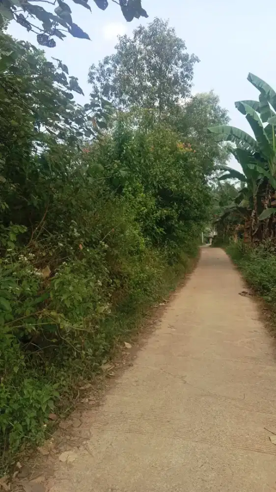Tanah di jual murah shm 6000m BU