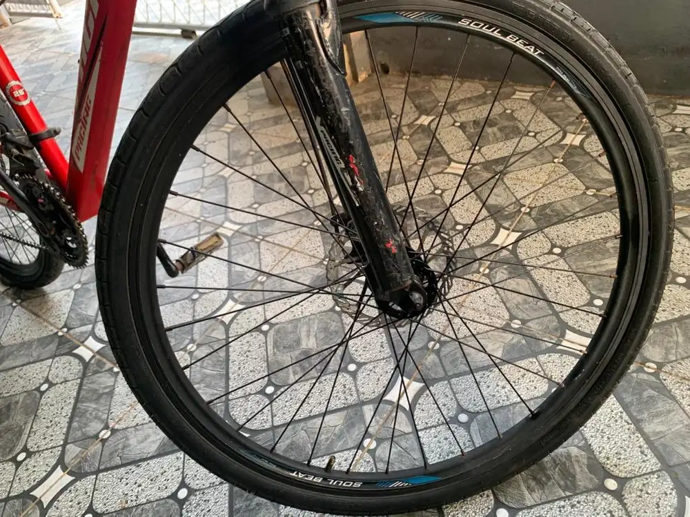 Pasific invert 26