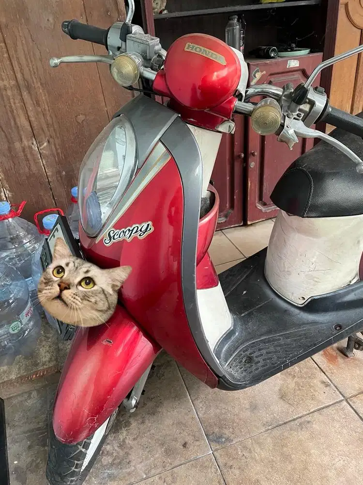 Dijual Scoopy 2012