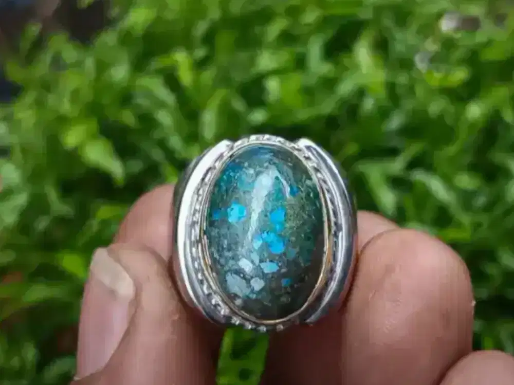 ASLI BATU AQEEQ PIRUS PERSIA 1,8xm Ring.8