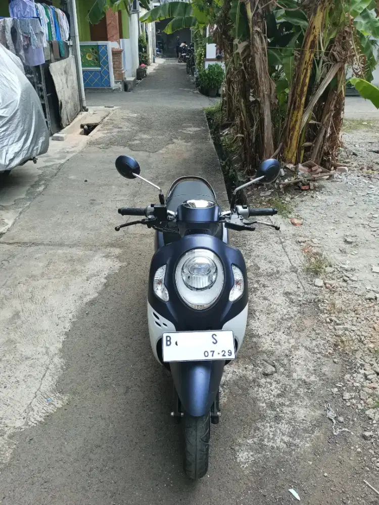 Honda scoopy 2024