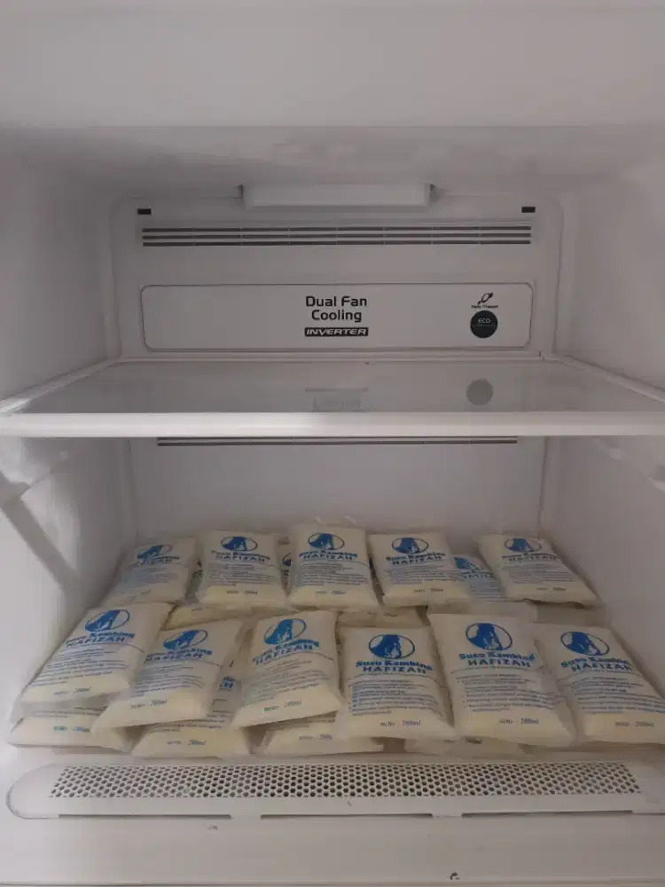 Susu kambing etawa