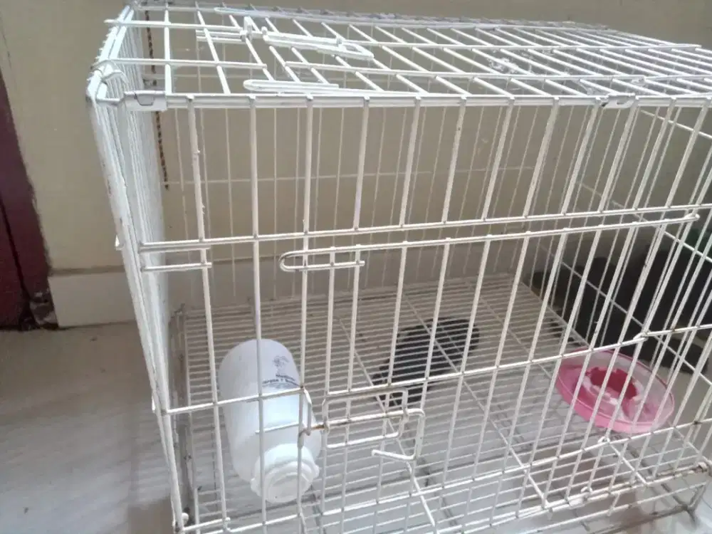 Di jual kandang kucing atau ayam kondisi msih bagus