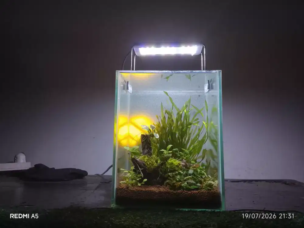 Aquarium fullset