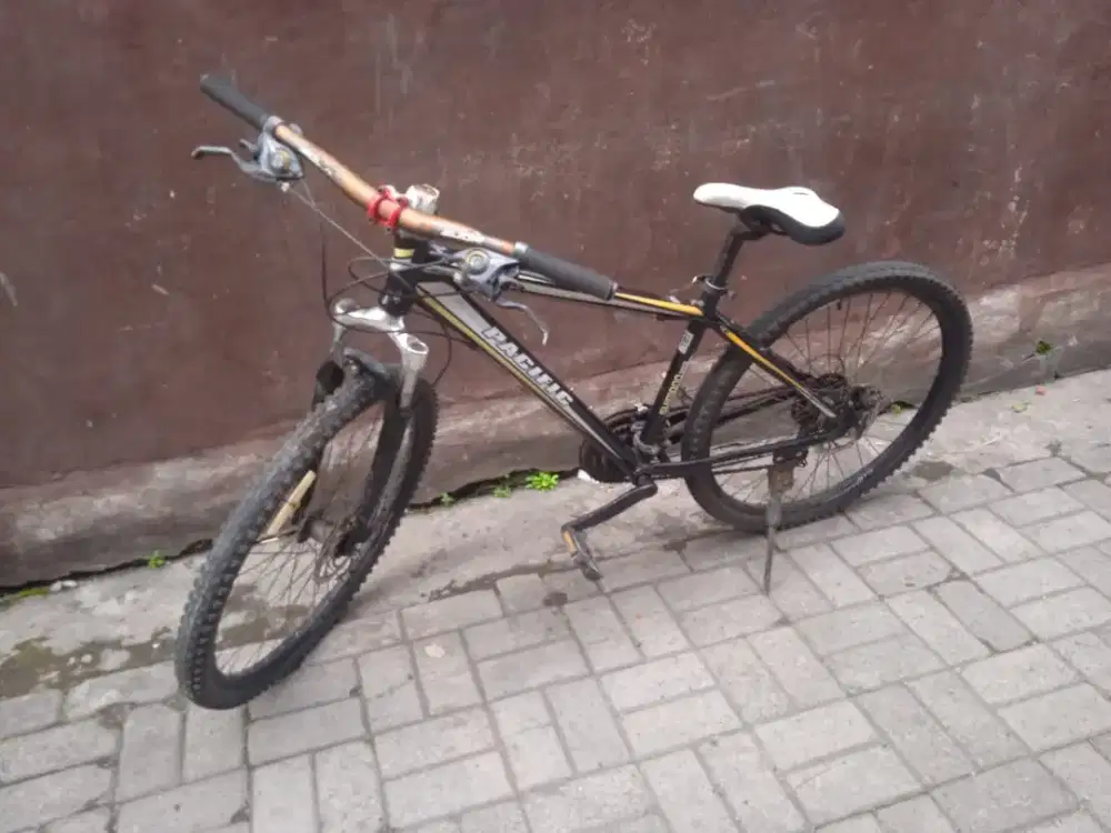 Sepeda layak pakai Pasific Exotic 200