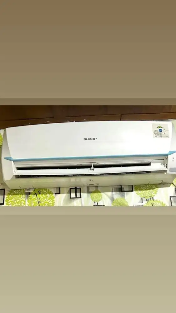AC Sharp 1/2 pk