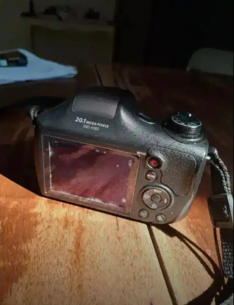 Camera sony DSC H300