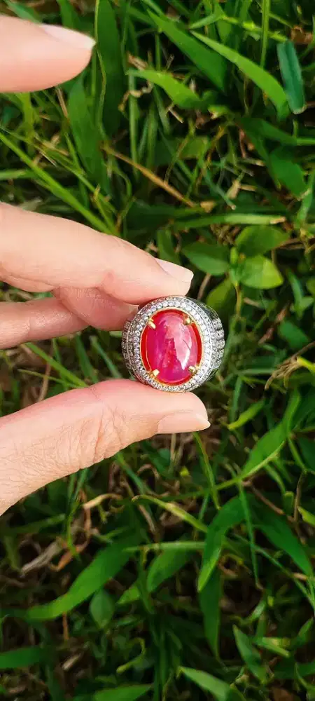Natural Star Ruby Corundum 11,58 Carat – Burma (Myanmar) Unheated