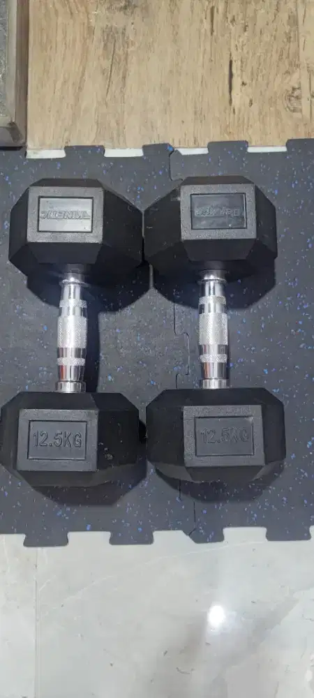 Dumbell 12.5 kg * 2