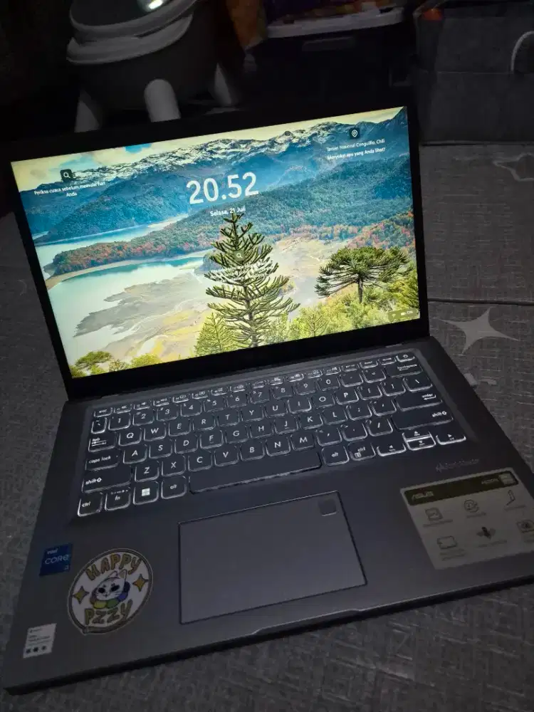 ASUS Vivobook 14 (A1400EA-FHD322)