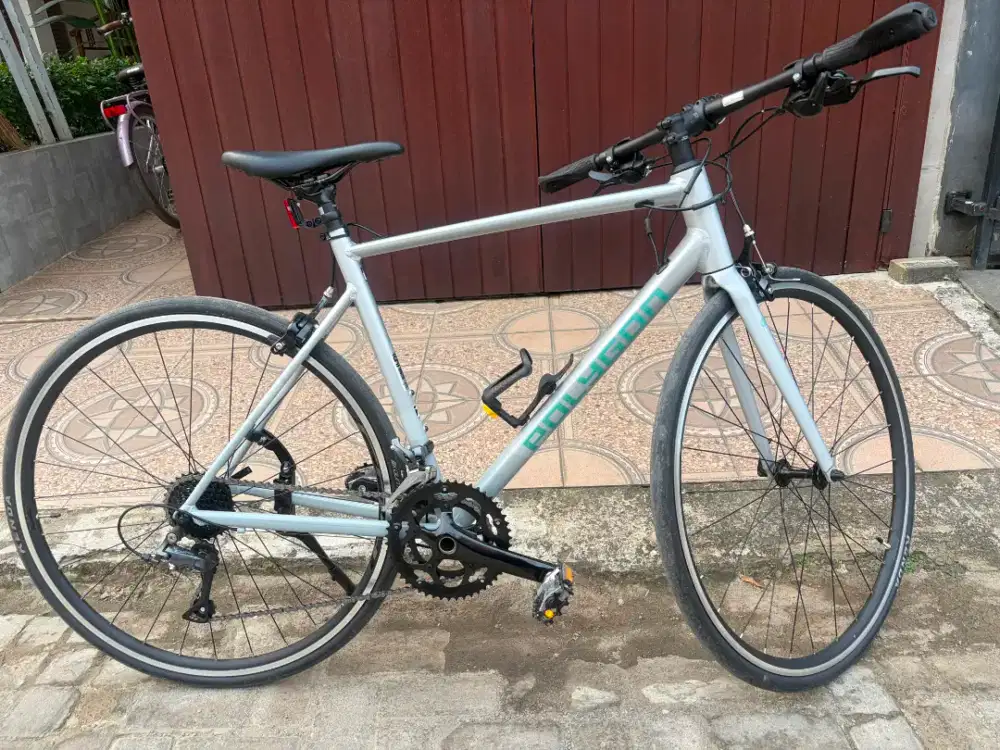 Polygon Strattos F2 Roadbike 700C Flatbar Shimano Claris Fork Carbon